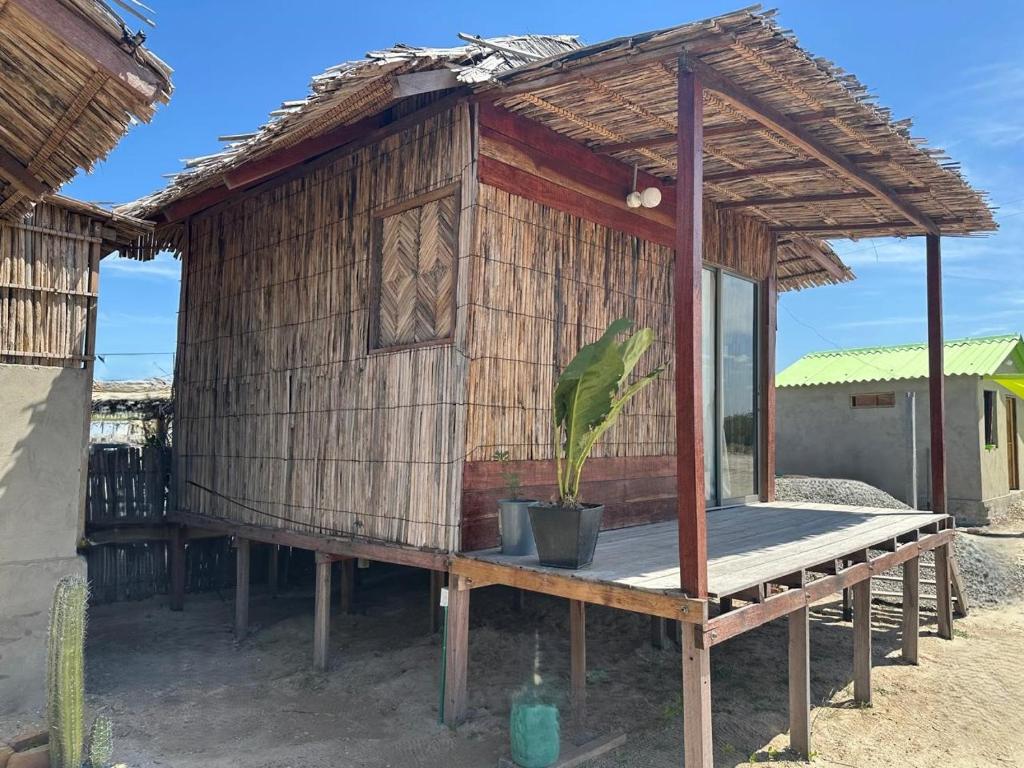 a small hut with a potted plant on a wooden platform at Mayapo Liwa in Manaure