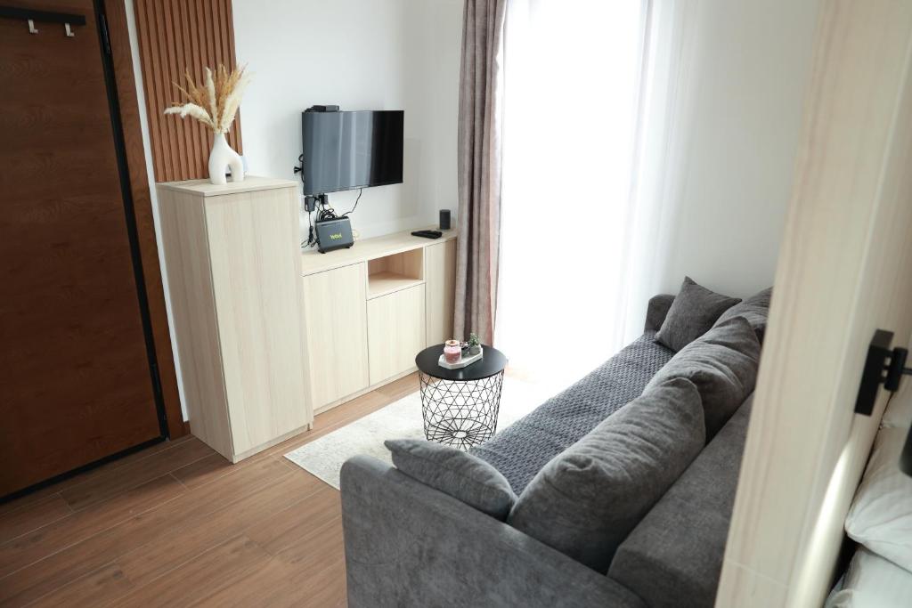 TV a/nebo společenská místnost v ubytování Apartman Borovi 11 Divčibare