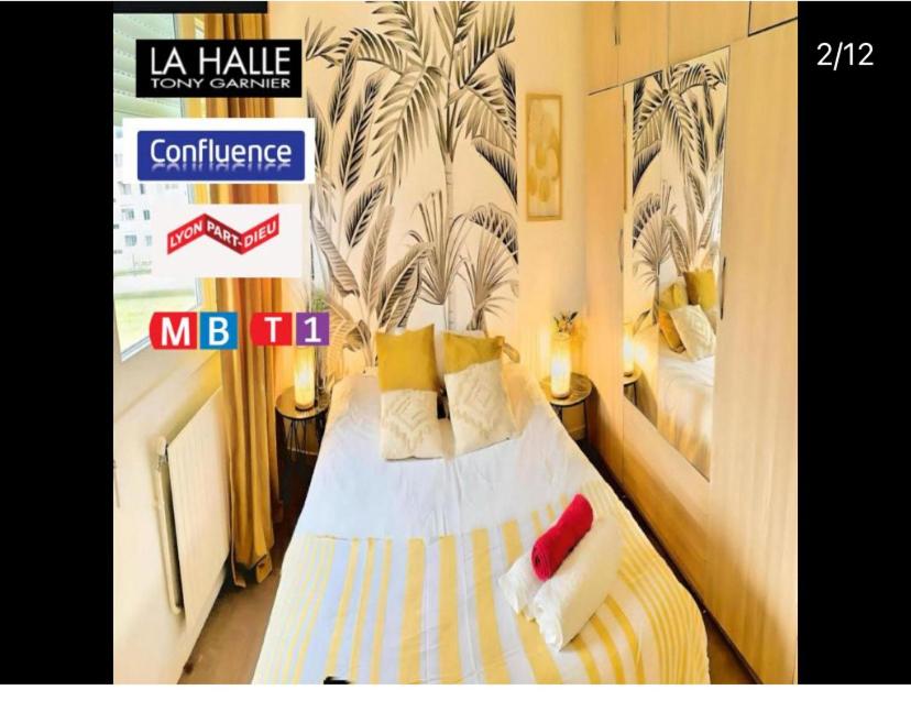 - un lit à baldaquin dans l'établissement Appart lumineux et spacieux au centre-ville de Lyon, à Lyon