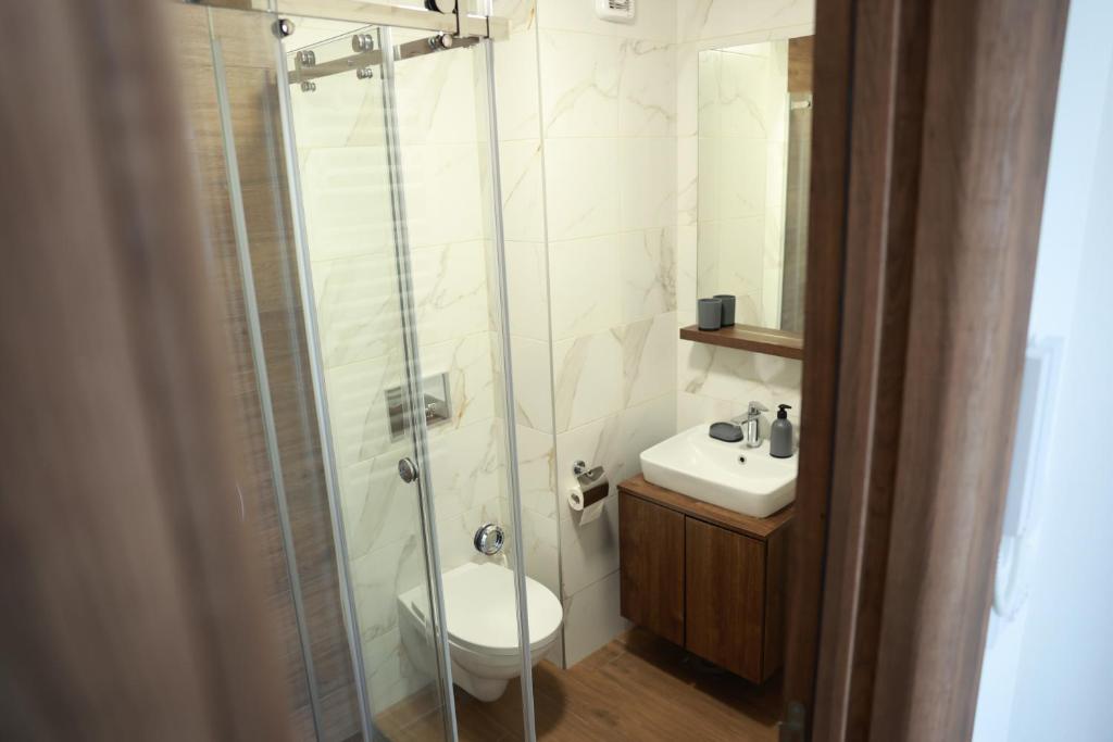 Koupelna v ubytování Apartman Borovi 11 Divčibare