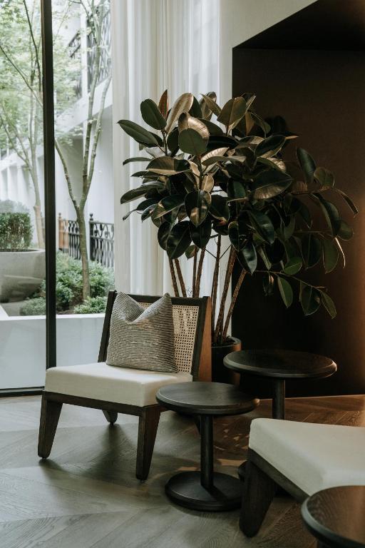 The Lyall - Resim 21