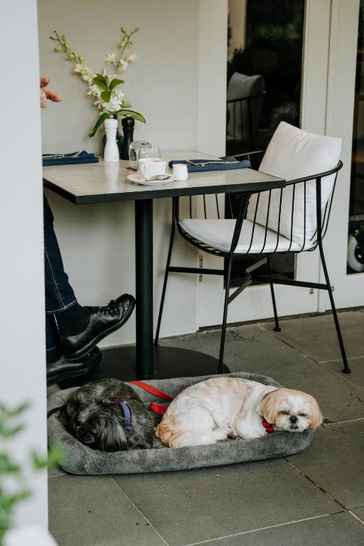 The Lyall - Resim 33