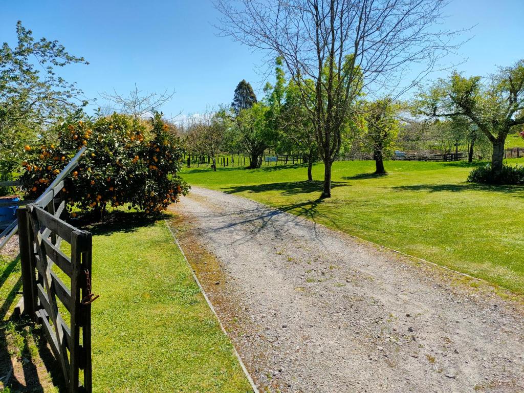 Tikitere Treasure - Resim 10