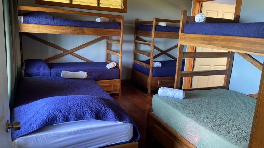 ein Zimmer mit drei Etagenbetten in einem Zimmer in der Unterkunft Calandria Mountain House in Monteverde Costa Rica