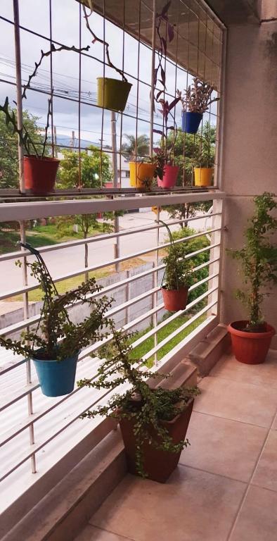 Balkón nebo terasa v ubytování La Casita de DaniMar