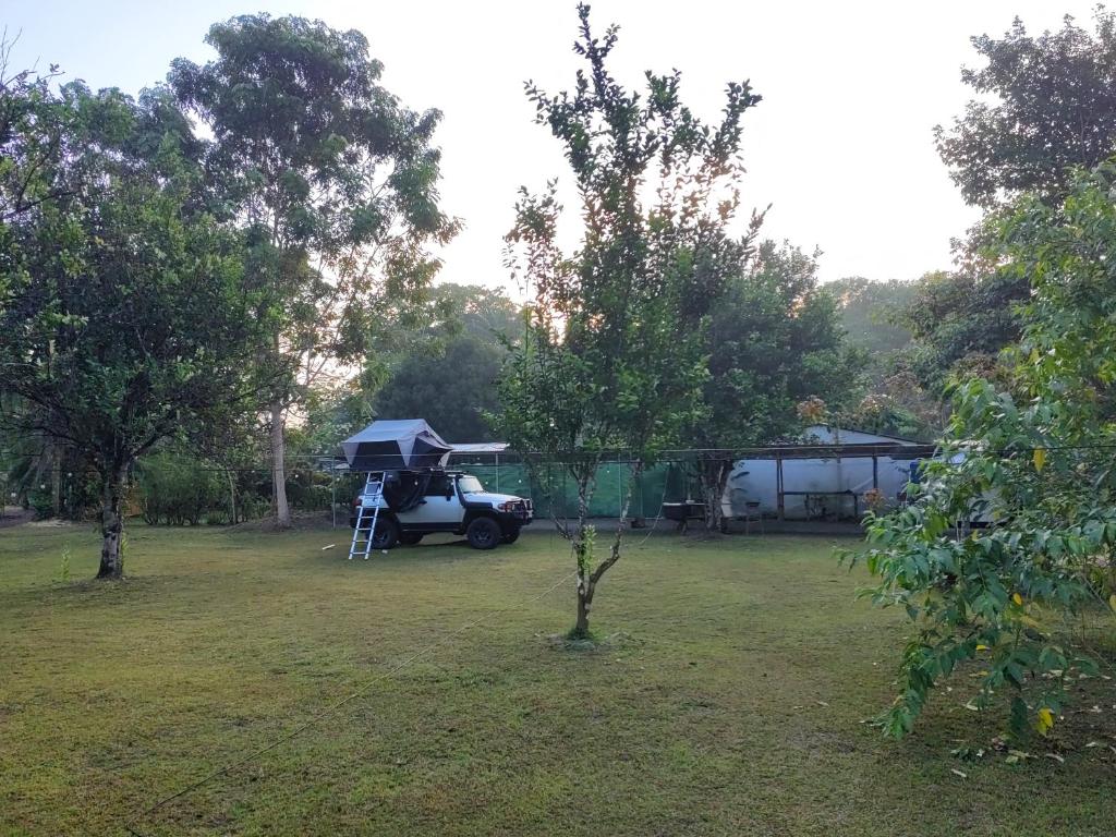Zahrada ubytování Glamping y Camping Zompopas Trails Costa Rica