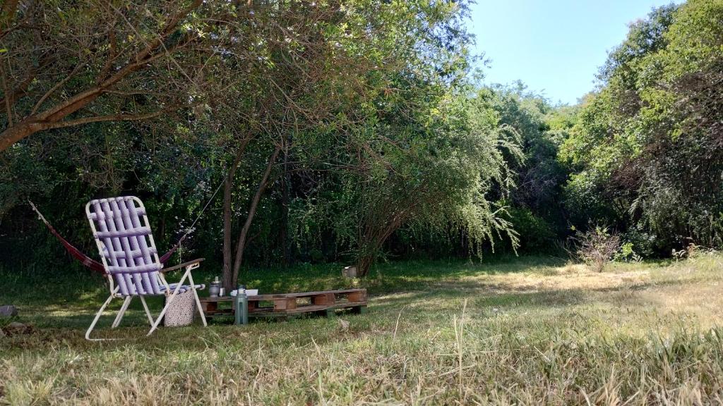 een schommelstoel in het gras onder een boom bij Sol de la cumbre in La Cumbre