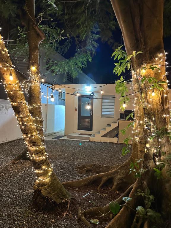 Fotografie z fotogalerie ubytování Villa Bamboo 2 v destinaci San Juan
