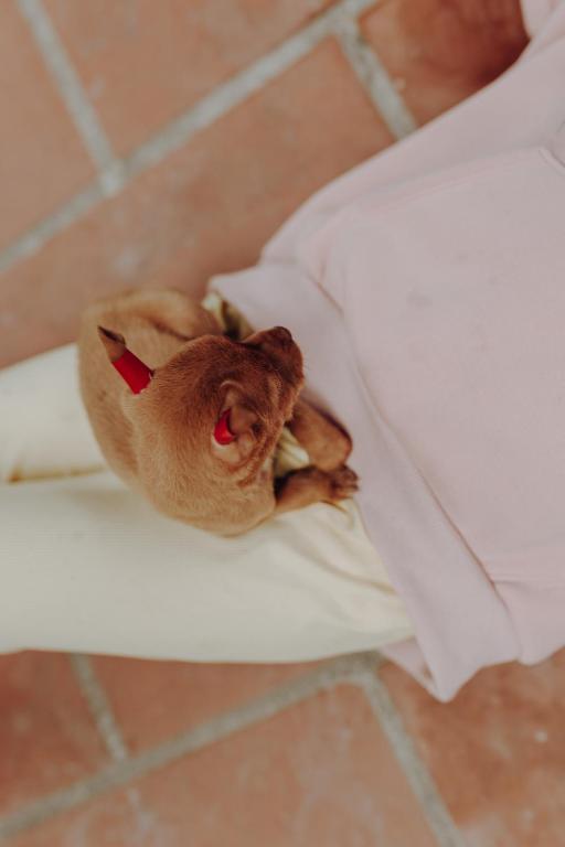 Ninh Binh Palm Homestay - 8