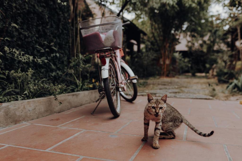 Ninh Binh Palm Homestay - 11