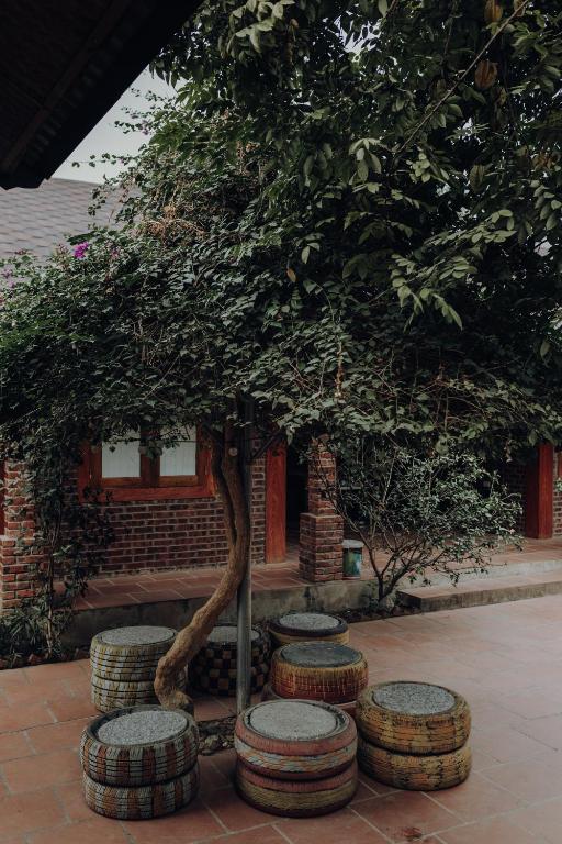 Ninh Binh Palm Homestay - 13