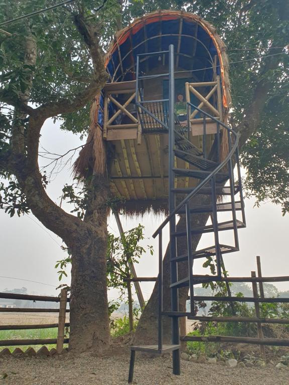 Foto dalla galleria di Pemsee's Tree Town - Eco-friendly,Tree house hostel a Sauraha