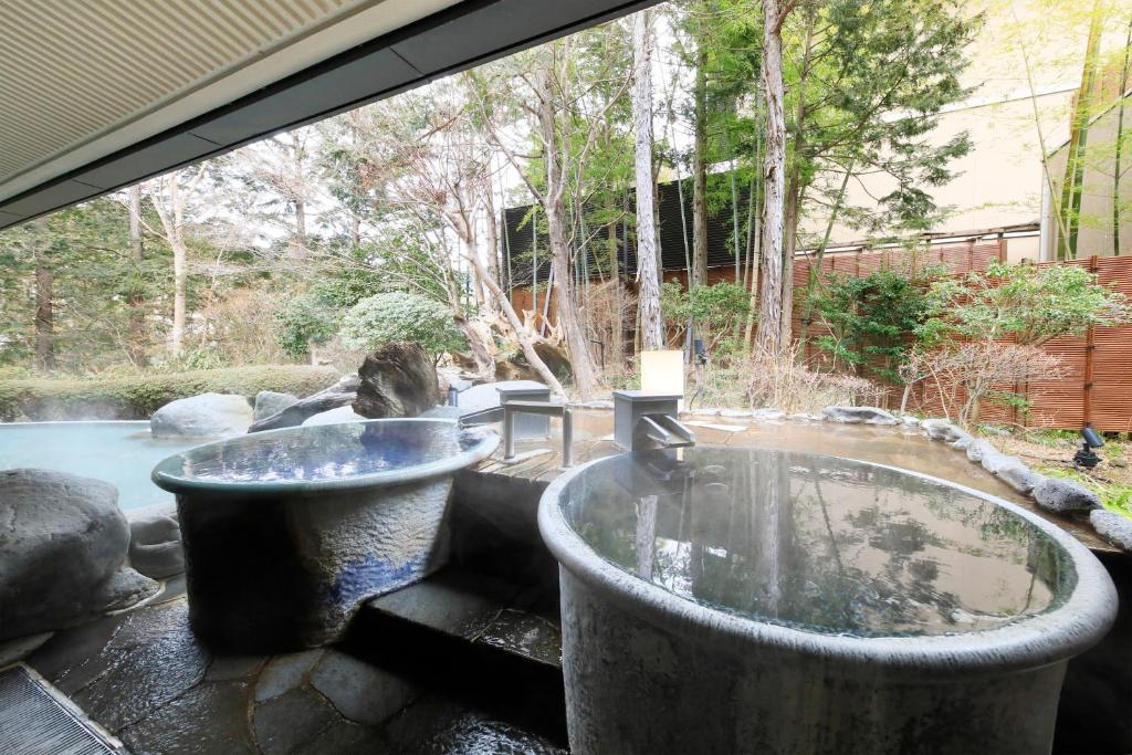Fotografie z fotogalerie ubytování Hakone Hisui v destinaci Hakone