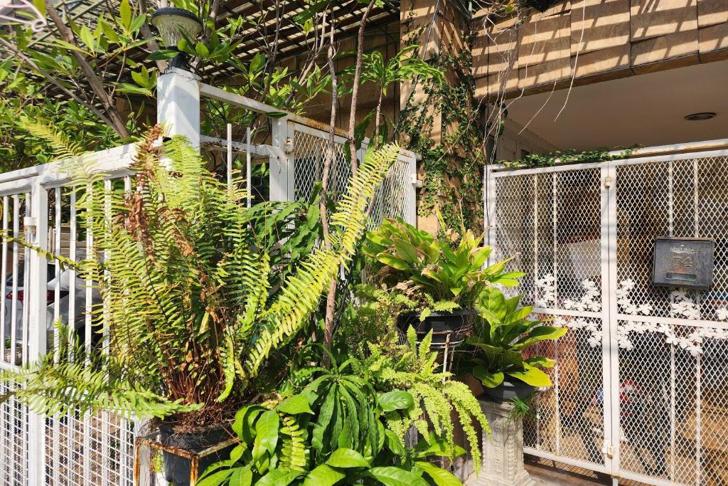 Baan Nara 15 - Resim 14