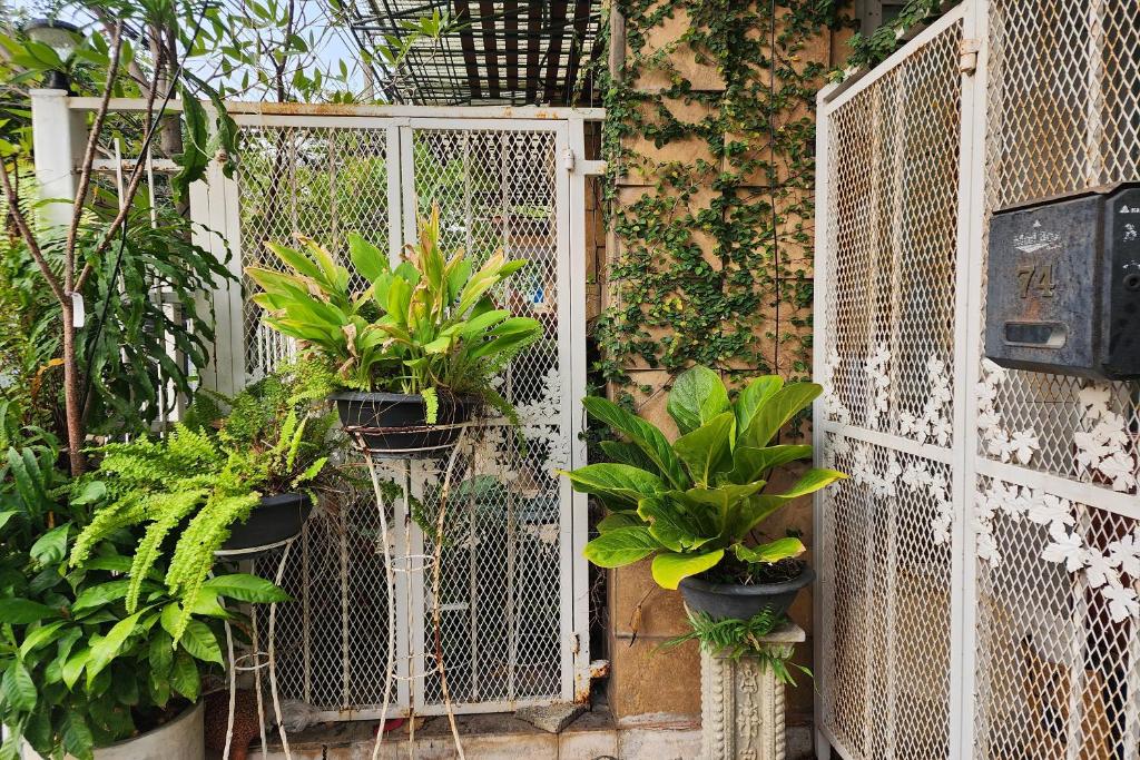 Baan Nara 15 - Resim 15