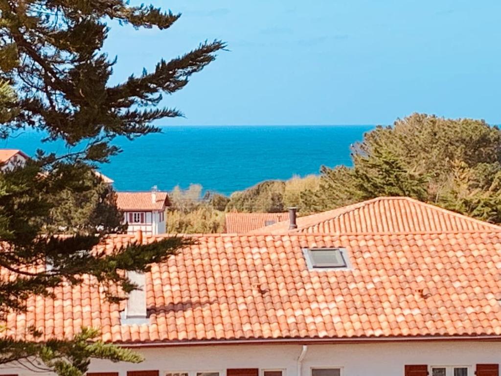 Photo de la galerie de l'établissement Appartement de standing au centre du village, à Guéthary