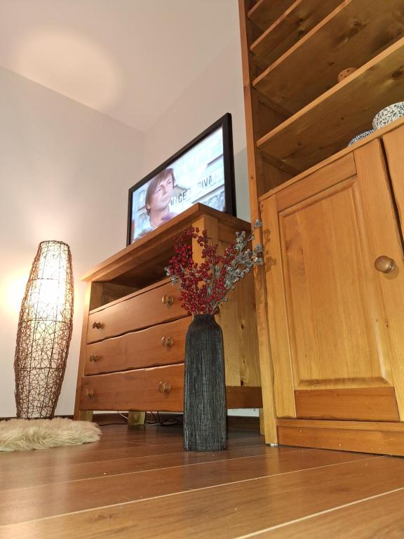 TV a/nebo společenská místnost v ubytování Vila Pohoda Javorníky s rozľahlým pozemkom