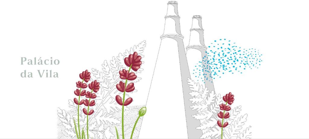 Casa da Estefânea - 5