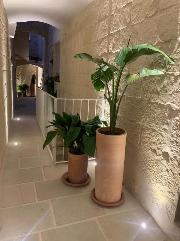 Fotografie z fotogalerie ubytování Viacota24 v destinaci Lecce