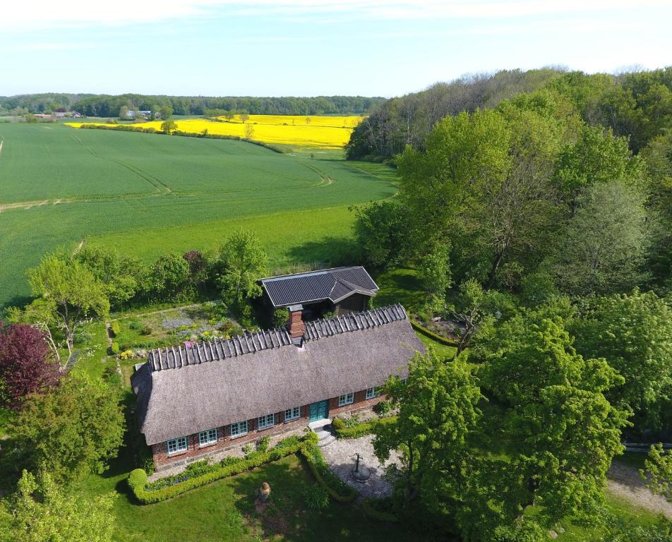 an overhead view of a house in a field at Reetdachkate Fuchsgraben - naturnah & stilvoll mit Wald-Sauna in Steinbergkirche