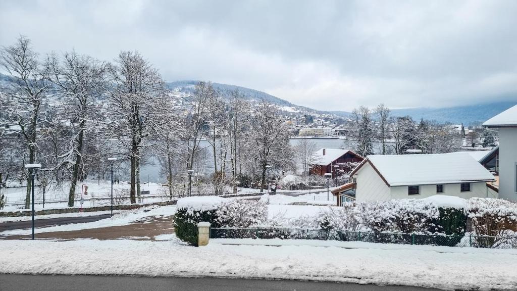 einen schneebedeckten Hof mit einem Haus und Bäumen in der Unterkunft F2* * * 80M DU LAC avec vue+terrasse+proche centre in Gérardmer