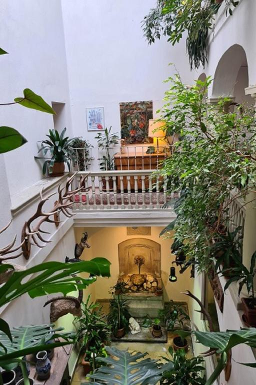 Balkón nebo terasa v ubytování Hotel Altwirt