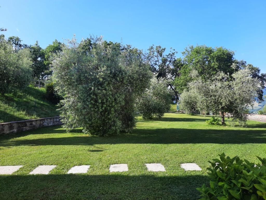 Zahrada ubytování Podere La Casina