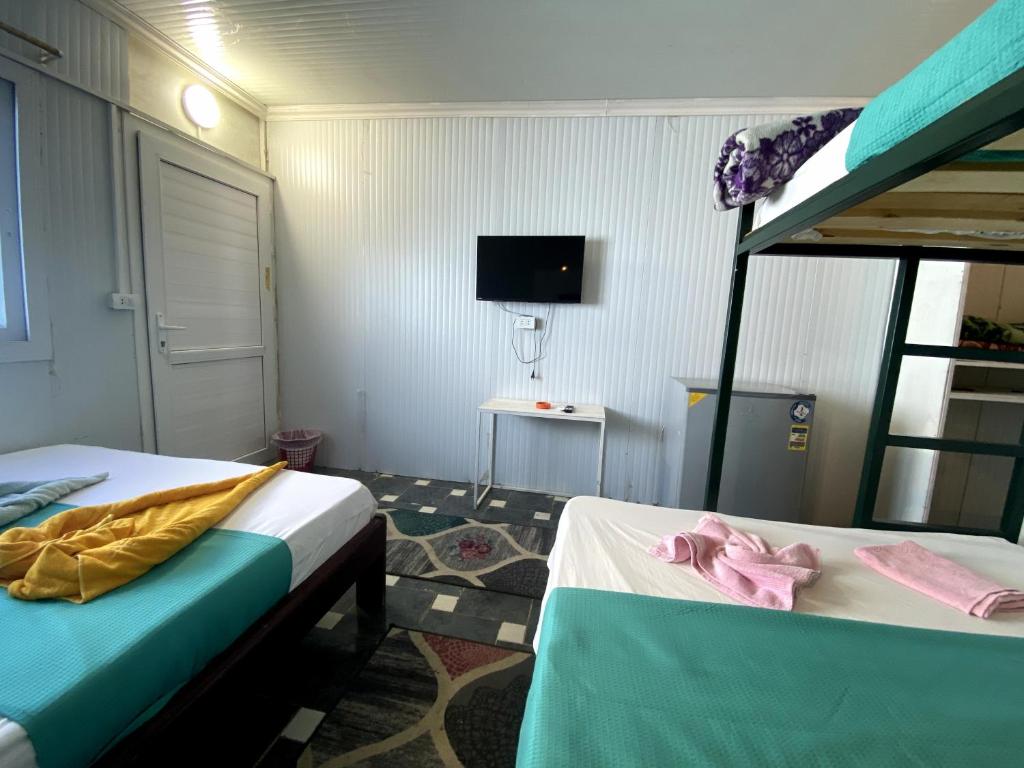 a room with two beds and a bunk bed at Octopus Hotel in Dahab