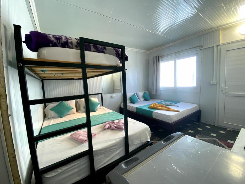 a room with two bunk beds and a window at Octopus Hotel in Dahab