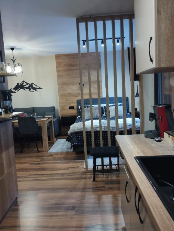 a kitchen and living room with a bed in the background at студио Е 13 in Pamporovo
