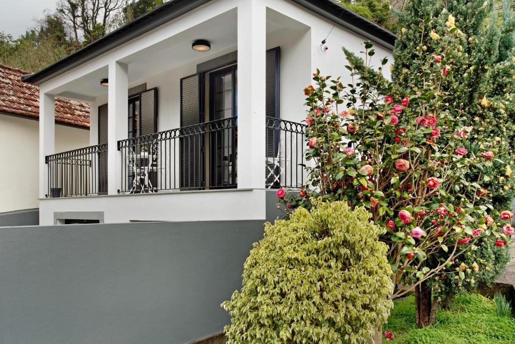 Zahrada ubytování Casa Francisco