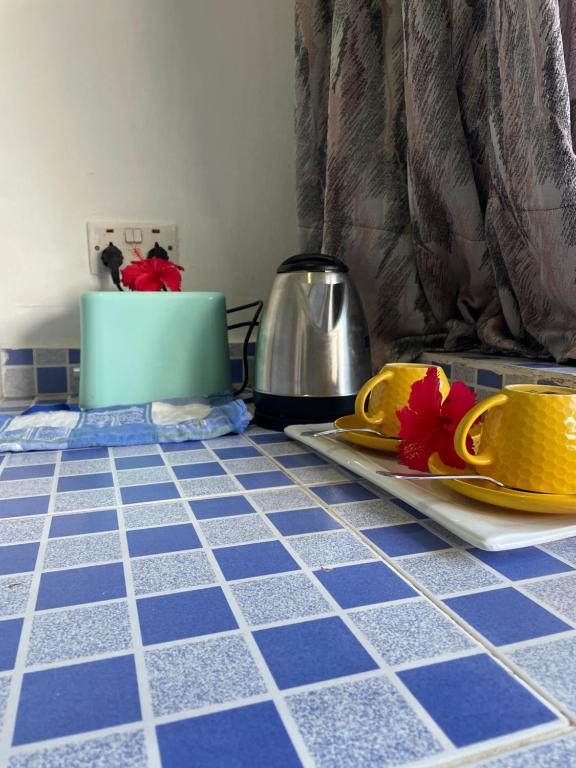 Fotografie z fotogalerie ubytování pole inn villa v destinaci Kinyasini