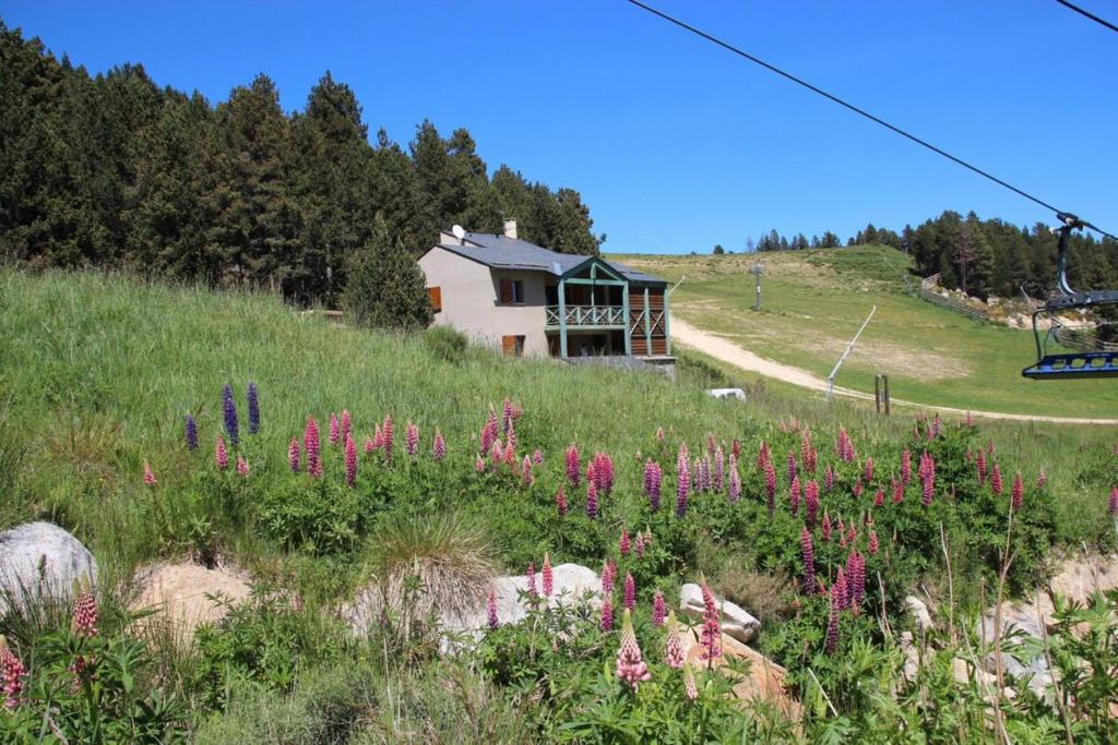 une maison sur le flanc d'une colline avec des fleurs roses dans l'établissement Chalet Pla Del Mir, aux Angles