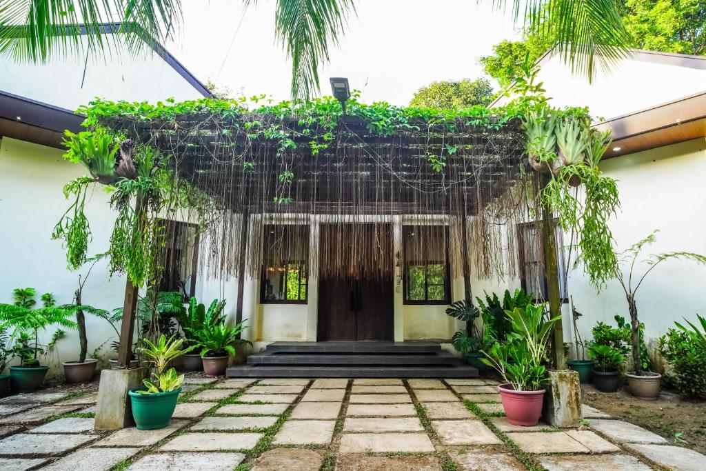 Zahrada ubytování CORON RIVERSIDE Guesthouse