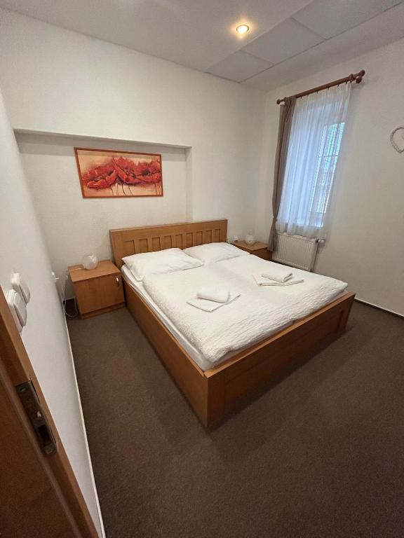Postel nebo postele na pokoji v ubytování Hotel Allvet