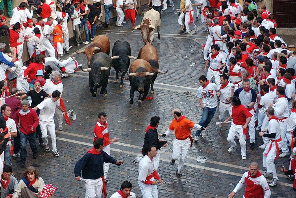 Επισκέπτες που μένουν στο Pamplona centro Mercaderes 12