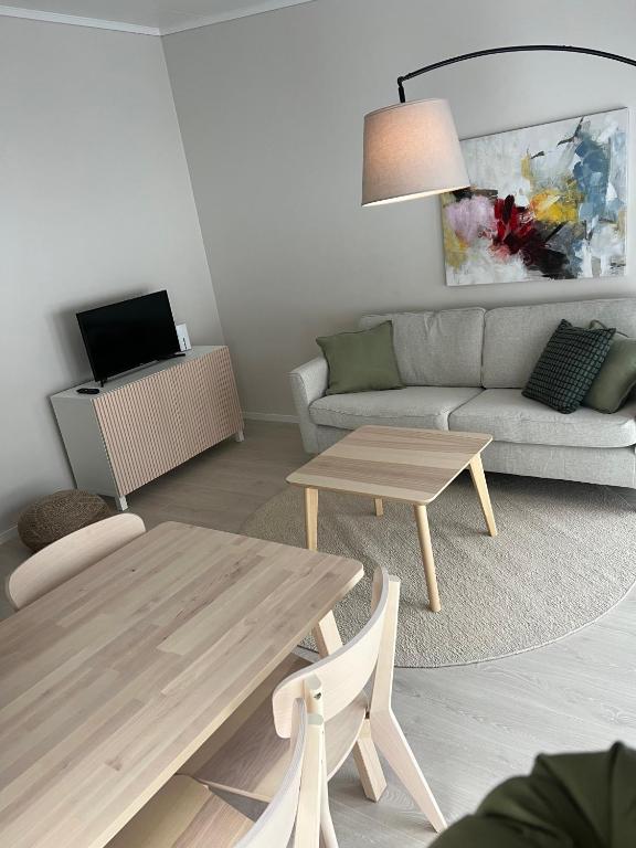 TV a/nebo společenská místnost v ubytování Private Chalet