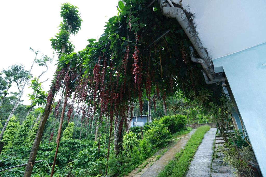 Um jardim no exterior de Coorg Sana Riverside