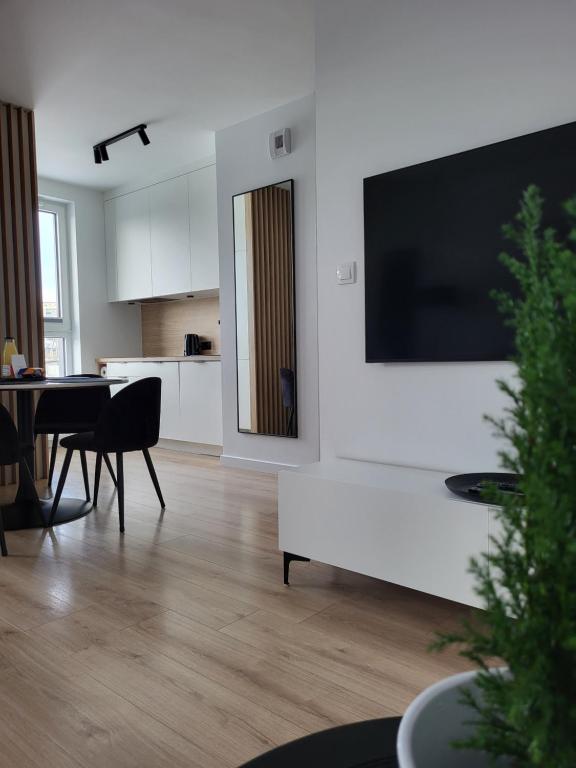Televízia a/alebo spoločenská miestnosť v ubytovaní Apartament 150 Zaspa VVita