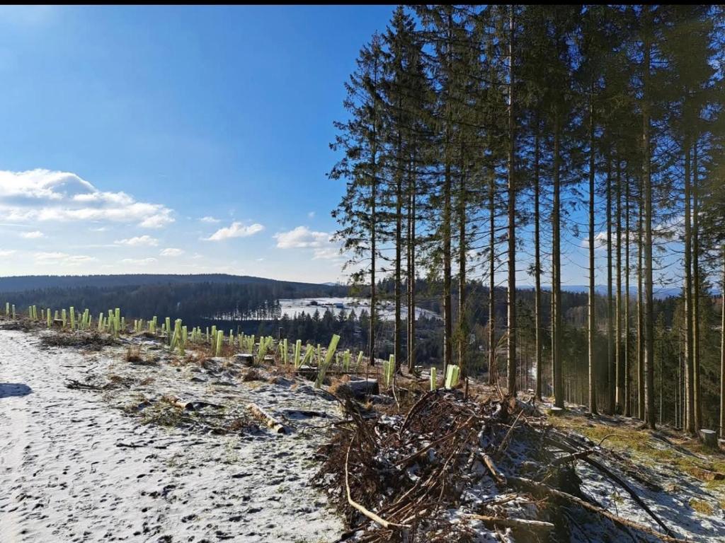 Příroda nedaleko apartmánu