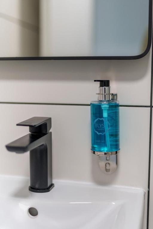 The Temple Bar Lane - Resim 17