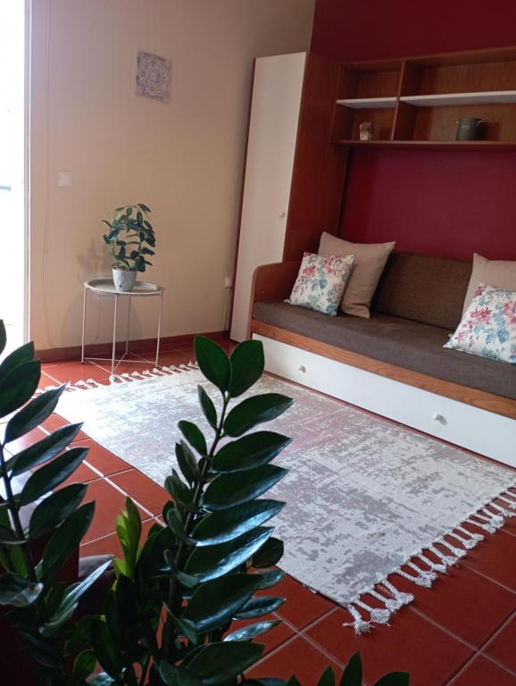 a living room with a couch and a plant at Village Sun House - Porto Moniz in Porto Moniz