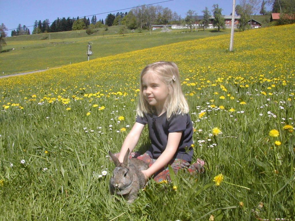 Hosté ubytování Ferienbauernhof Roth