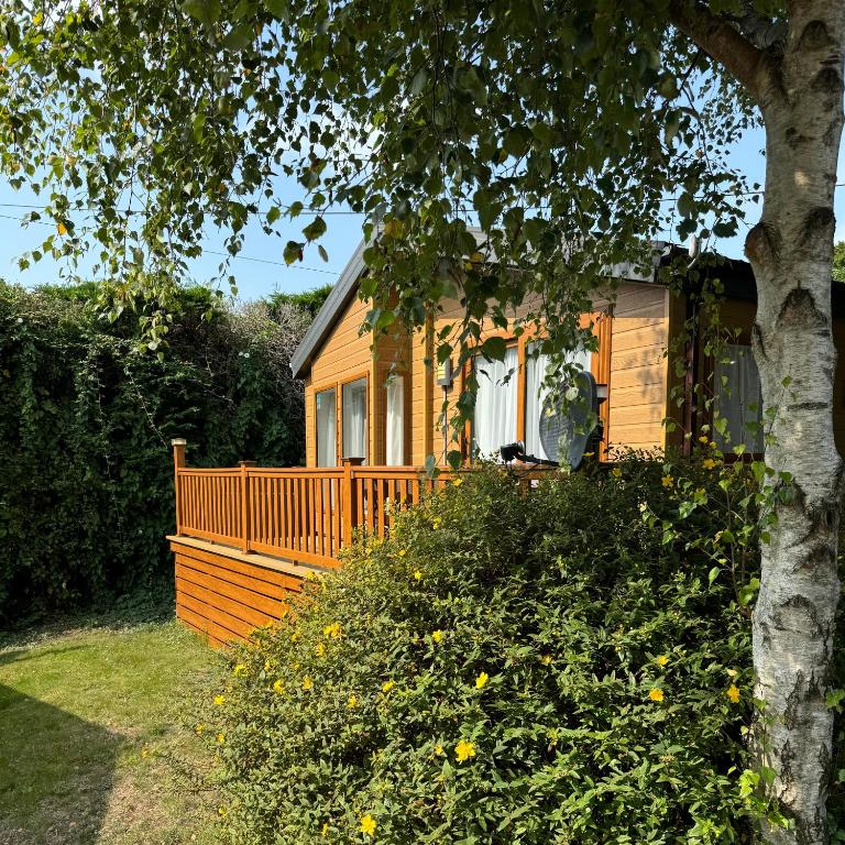a small house with a porch and a tree at Yellow Bush Lodge in Haven Street
