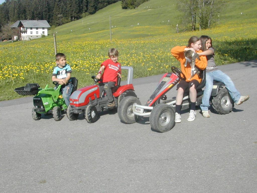 Hosté ubytování Ferienbauernhof Roth