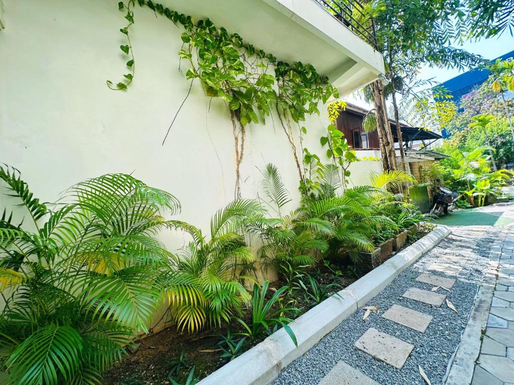Zahrada ubytování Botanic Garden Villa Siem Reap