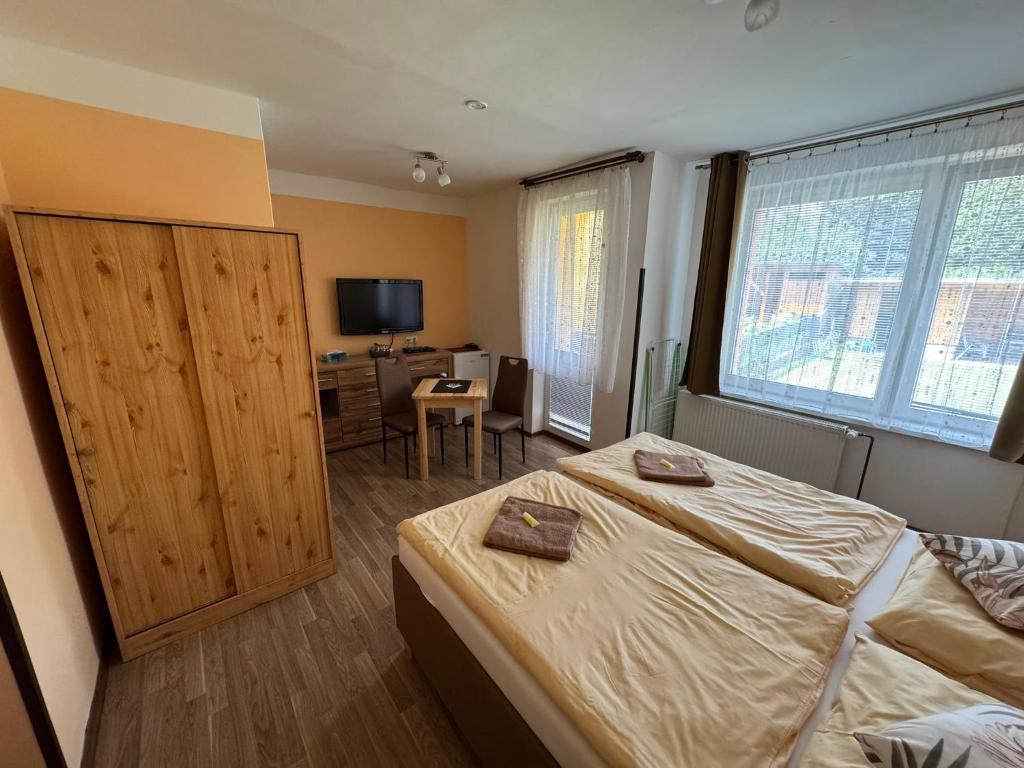 una camera con letto, scrivania e TV di Penzion Pavel a Karlovy Vary