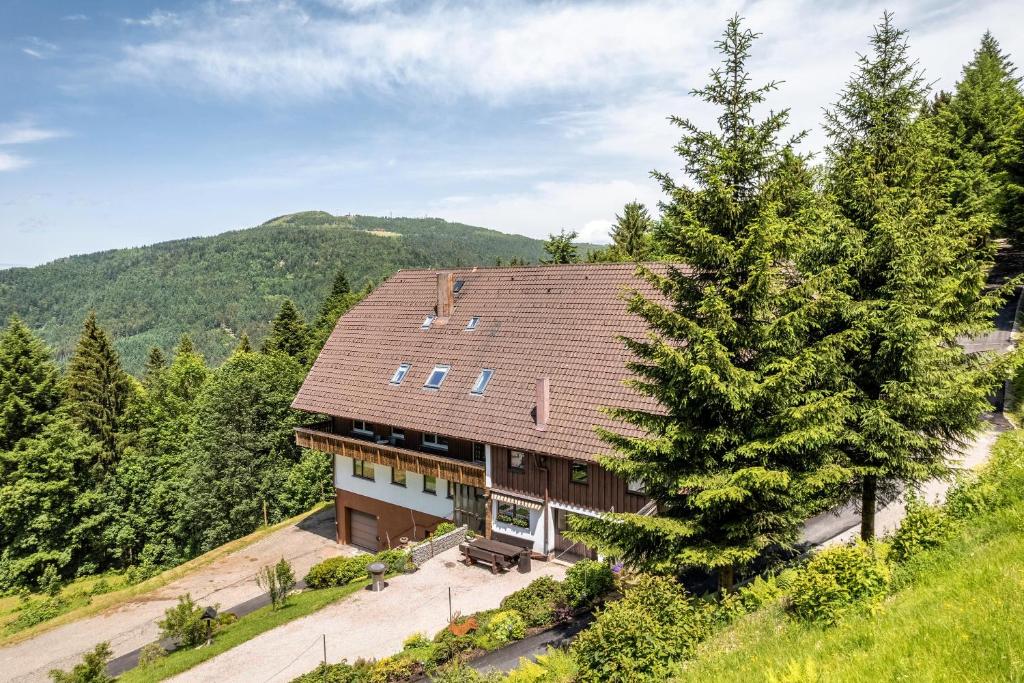 Příroda nedaleko apartmánu