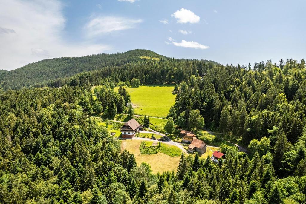 Příroda nedaleko apartmánu