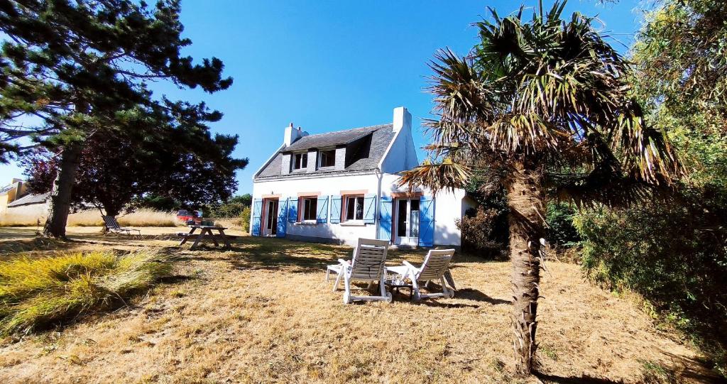 dos sillas y una palmera frente a una casa en Maison Martha, en Bangor